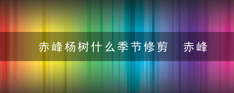 赤峰杨树什么季节修剪 赤峰杨树哪个季节修剪